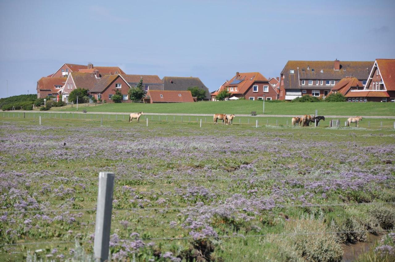 Seevilla Wietjes Whg 6 Baltrum Exteriör bild